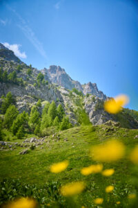 MUT2_25_ 448